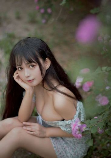 烈火浇愁动漫免费观看全集