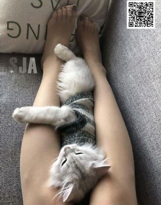 田耕纪