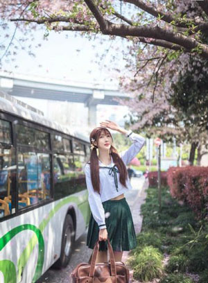 顶楼的大象在线
