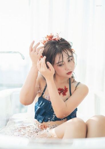 金装维尔梅