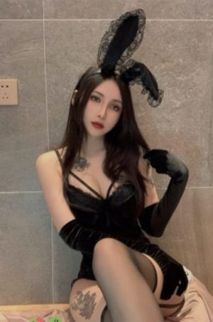 大陆理论片