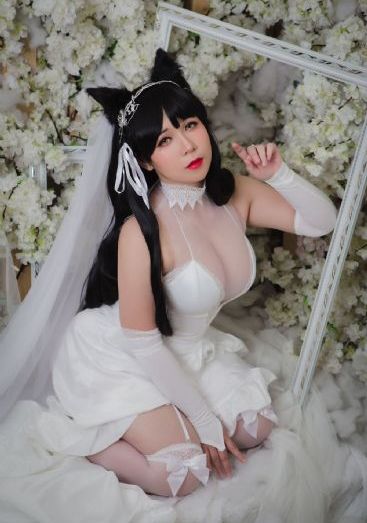 欧美视频www