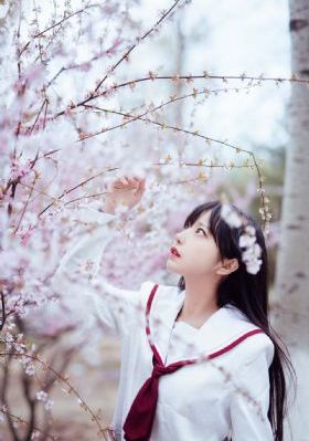 天官赐福 第二季 动漫